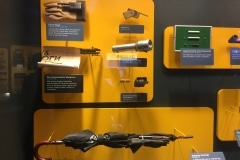 Example of the museum exhibits.