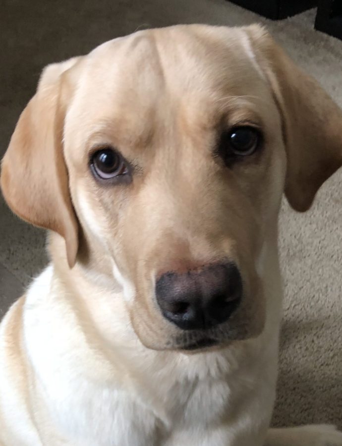 Jefferson Turns One!